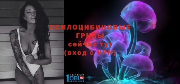 mdpv Пересвет
