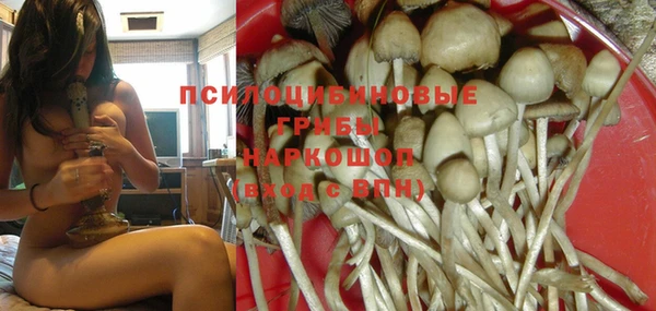 МДПВ Переславль-Залесский