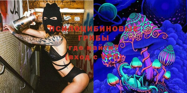 МДПВ Переславль-Залесский