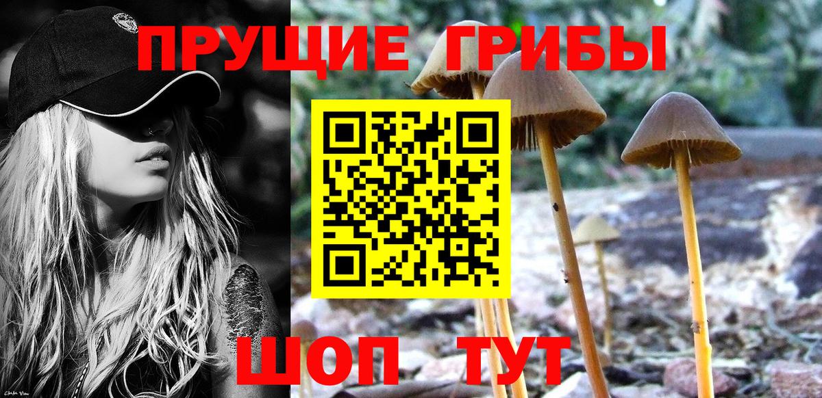Псилоцибиновые грибы Psilocybe  Псилоцибиновые грибы ЛСД  Слободской  Вход с VPN 